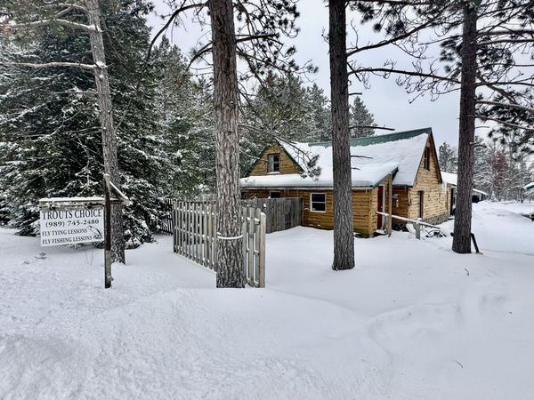 1460 E North Down River Road, Grayling, MI 49738
