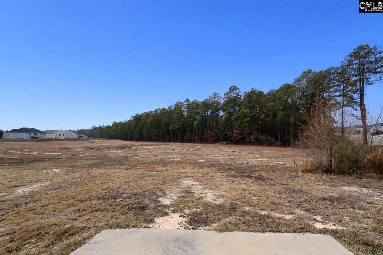 202 Ridley Hill Lane Photo 18