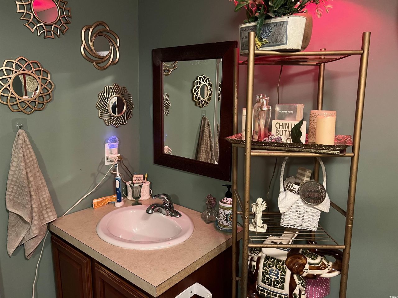 130 Princess St.  Photo 21