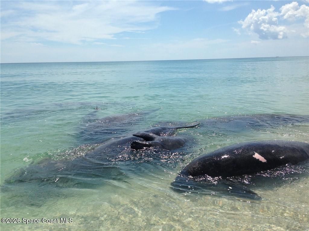 9255 Highway A1a, Melbourne Beach, FL 32951 Photo