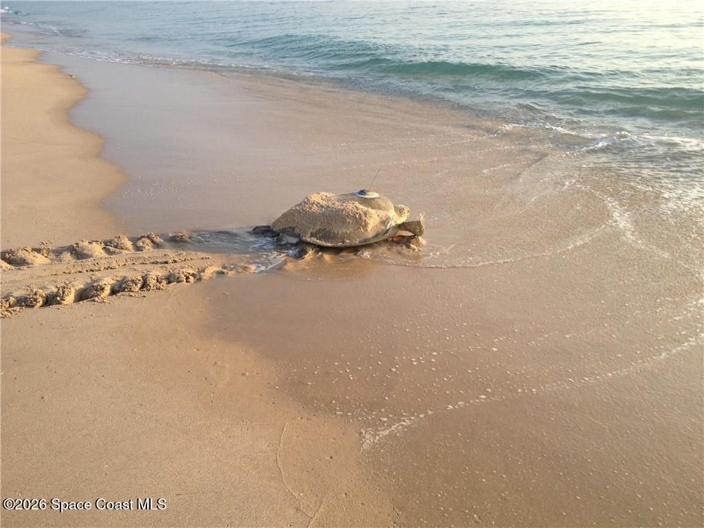 9255 Highway A1a, Melbourne Beach, FL 32951 Photo