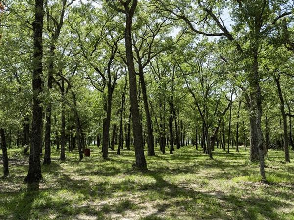 Lot 71 Anchor, Quinlan, TX 75474