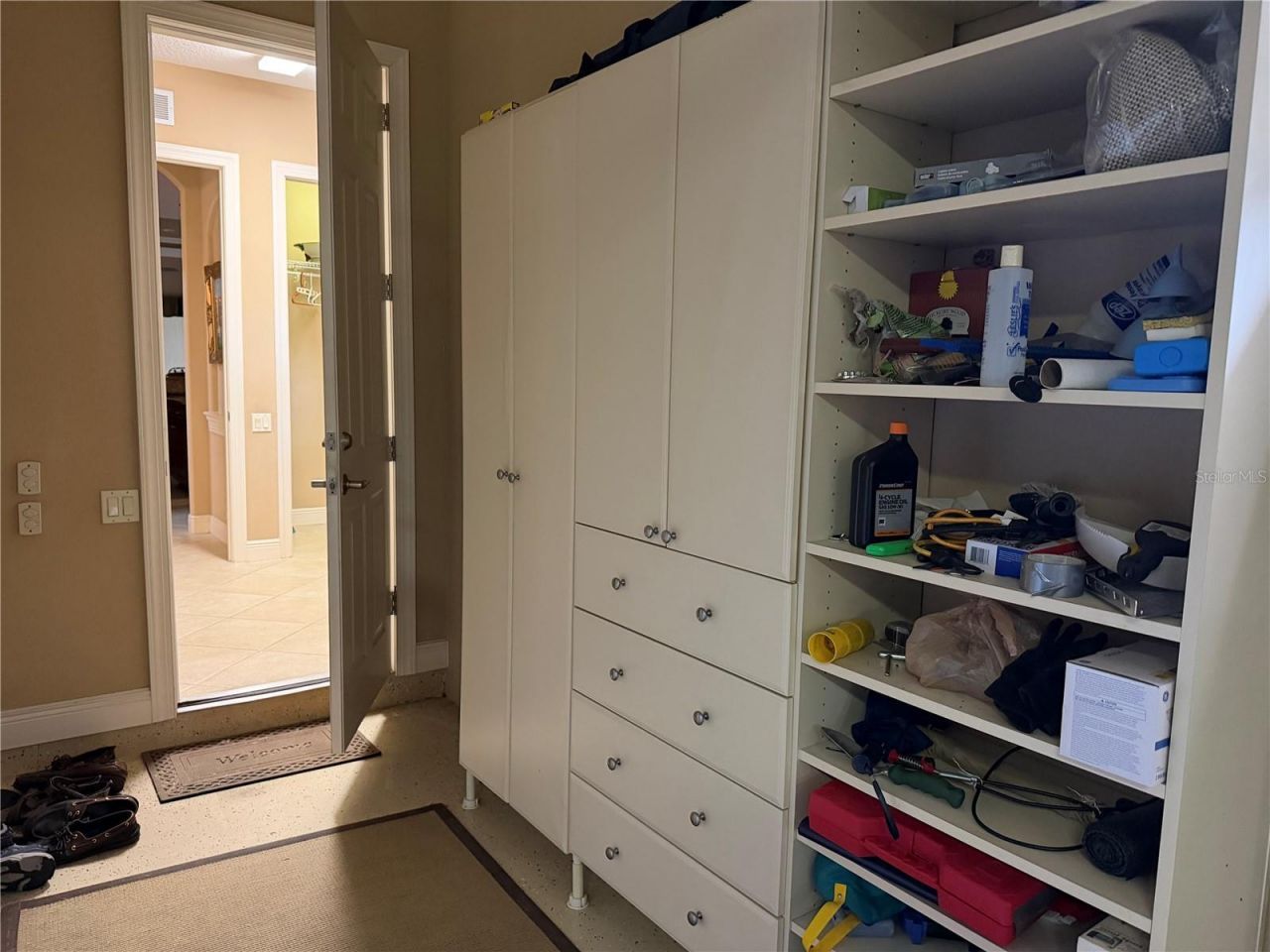 8453 Dunham Station Drive, Tampa, FL 33647 Photo