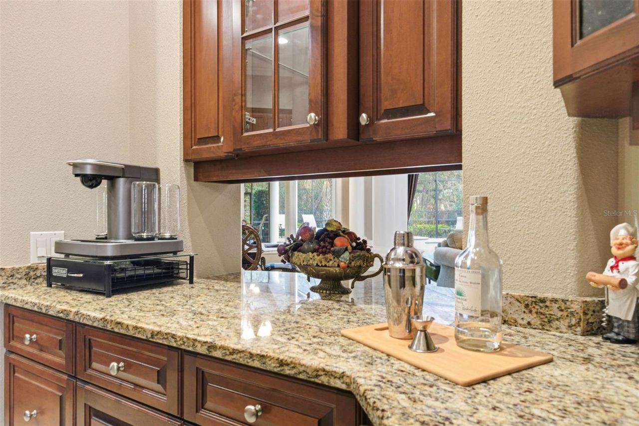 8453 Dunham Station Drive, Tampa, FL 33647 Photo