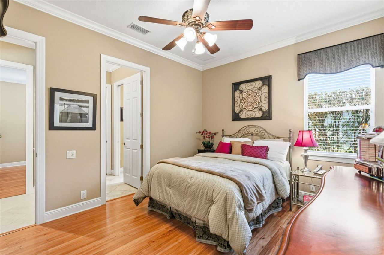 8453 Dunham Station Drive, Tampa, FL 33647 Photo