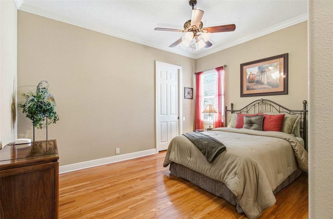 8453 Dunham Station Drive, Tampa, FL 33647 Photo