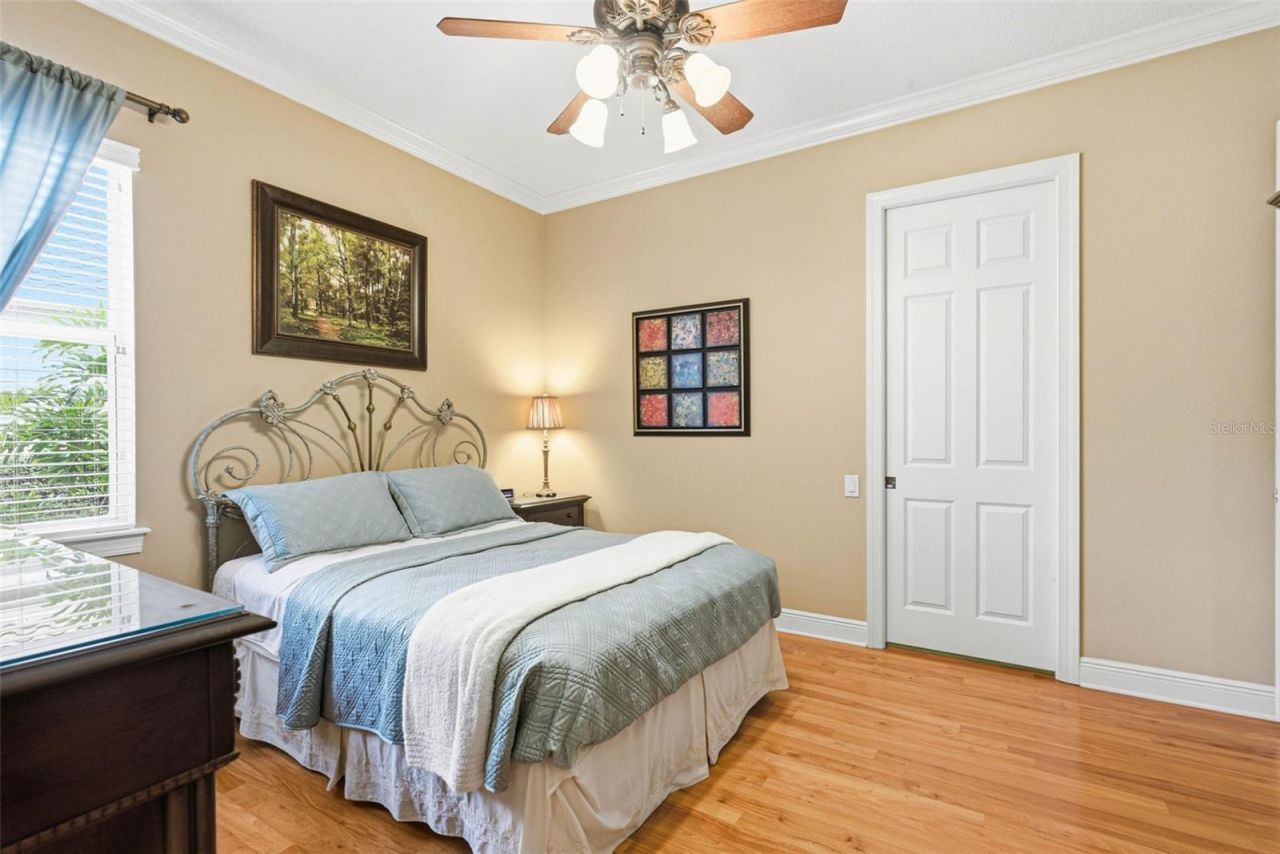 8453 Dunham Station Drive, Tampa, FL 33647 Photo