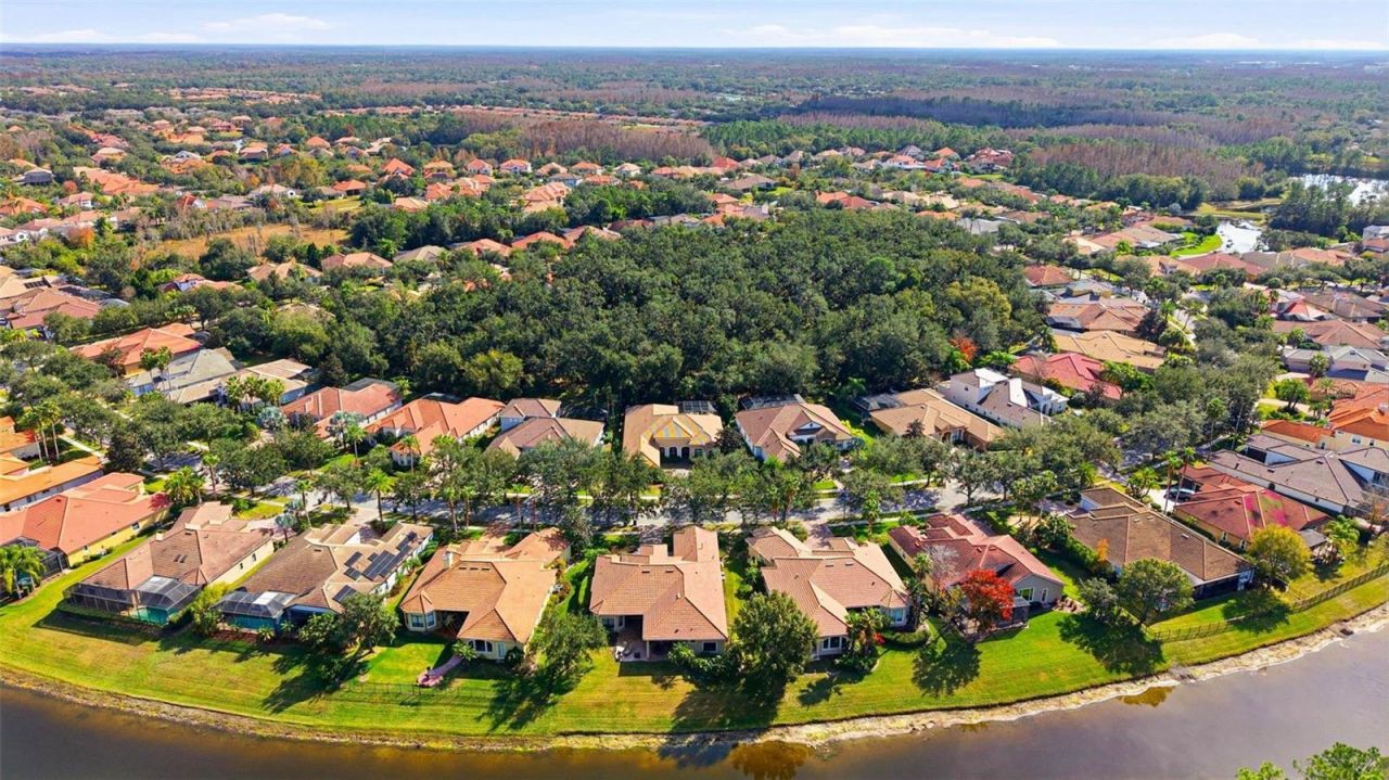 8453 Dunham Station Drive, Tampa, FL 33647 Photo