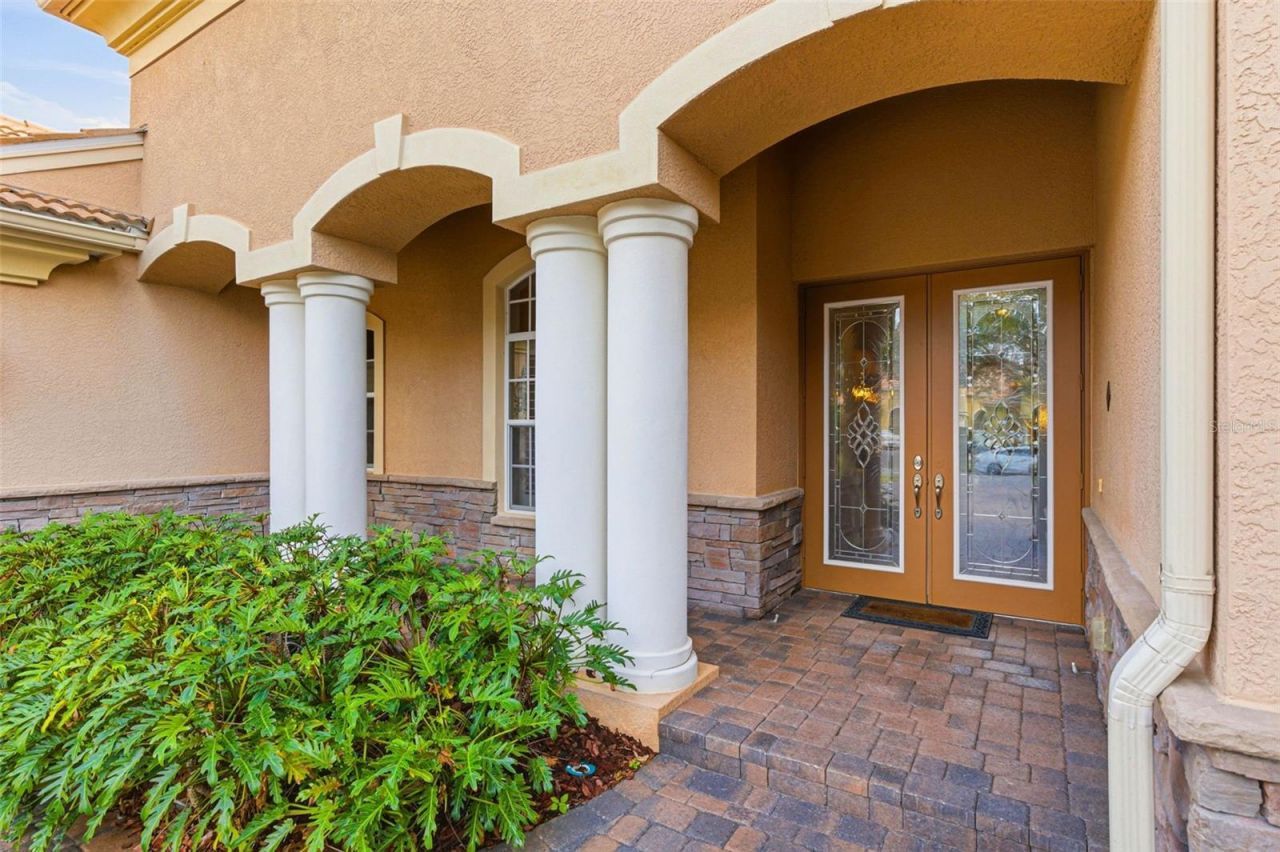 8453 Dunham Station Drive, Tampa, FL 33647 Photo