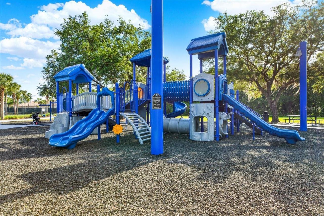 8453 Dunham Station Drive, Tampa, FL 33647 Photo