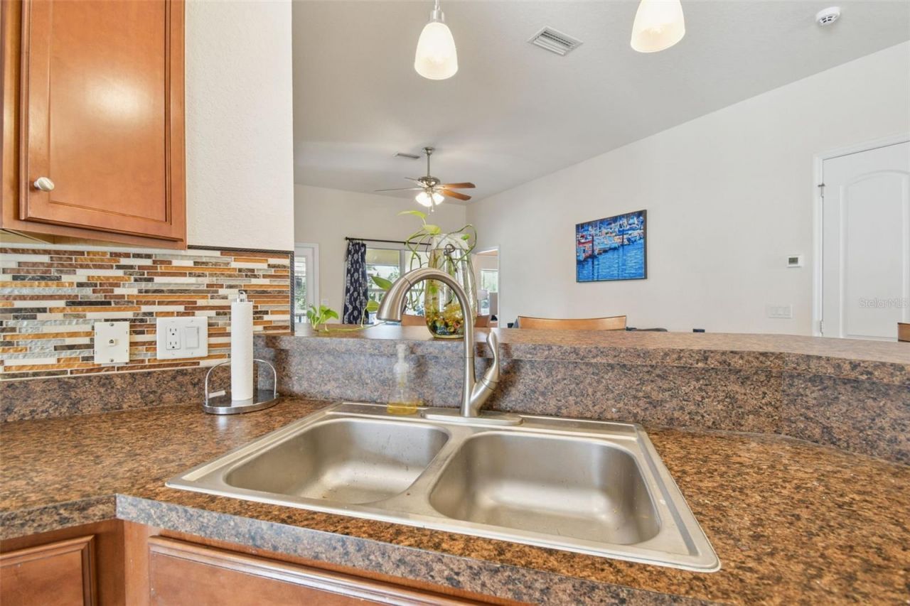 14342 Edinburgh Moor Drive, Wimauma, FL 33598 Photo