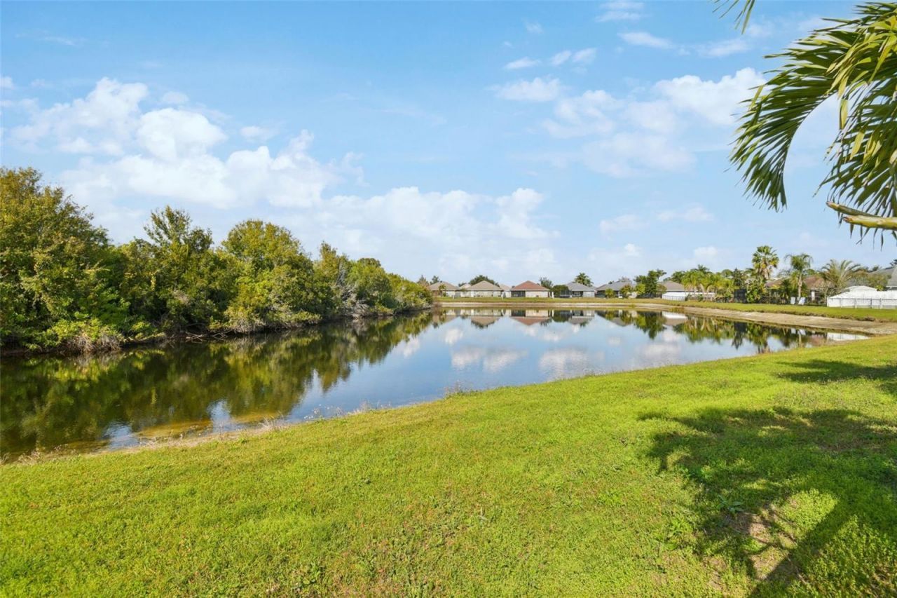 14342 Edinburgh Moor Drive, Wimauma, FL 33598 Photo