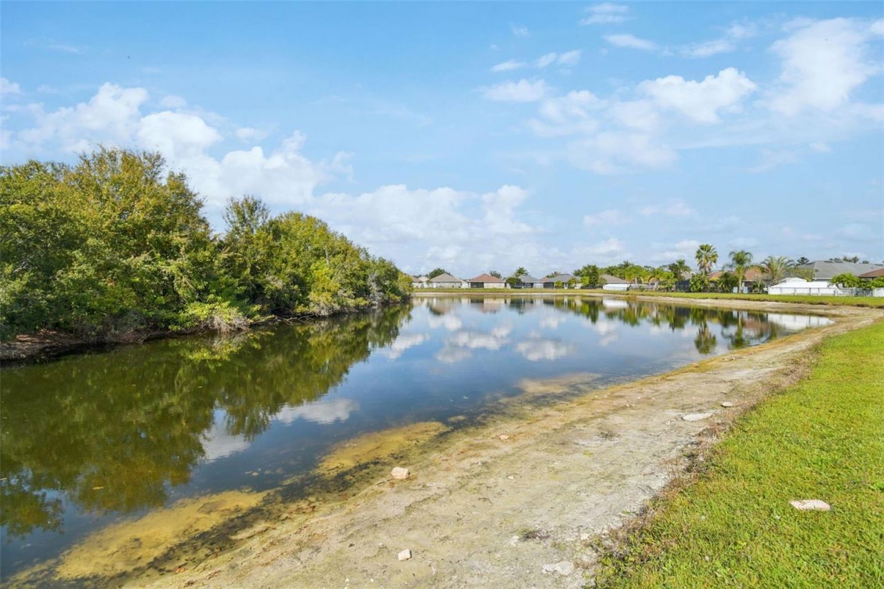 14342 Edinburgh Moor Drive, Wimauma, FL 33598 Photo