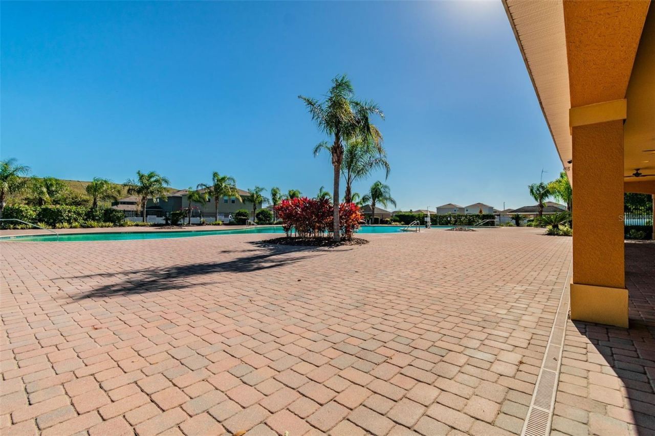 14342 Edinburgh Moor Drive, Wimauma, FL 33598 Photo