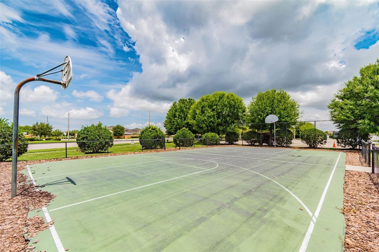 14342 Edinburgh Moor Drive, Wimauma, FL 33598 Photo