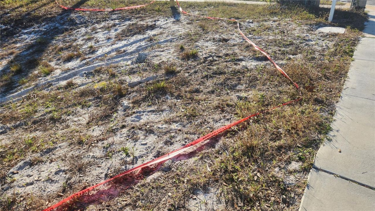 Druid Road E, Clearwater, FL 33756 Photo