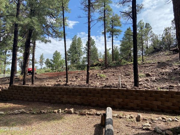 2820 PINE HILL Drive, Unit 20, Overgaard, AZ 85933