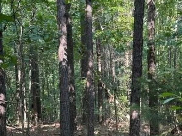 00 Fernkbank Road, Millport, AL 35576