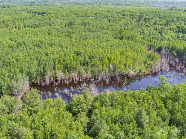 Co Road 646, Rogers City, MI 49779