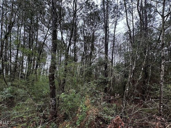 12310 Barbara Drive, Gulfport, MS 39503