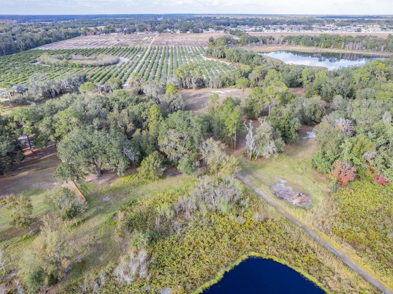 4305 Old Bartow Eagle Lake Road, Bartow, FL 33830 Photo