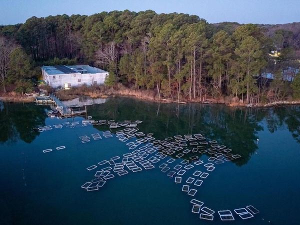 49676 FREEMANS ROAD, DAMERON, MD 20628