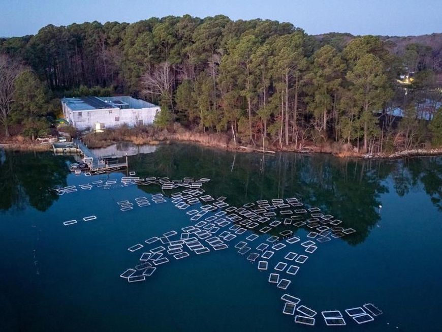 49676 Freemans Road, Dameron, MD 20628 Main Photo