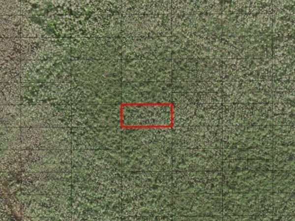 0 HOLOPAW GROVES RD, St. Cloud, FL 34772