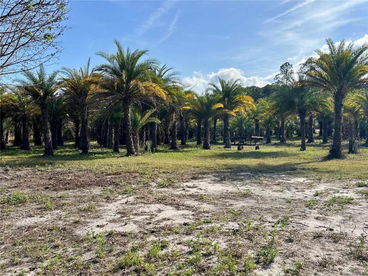 12714 State Road 33, Groveland, FL 34736 Photo