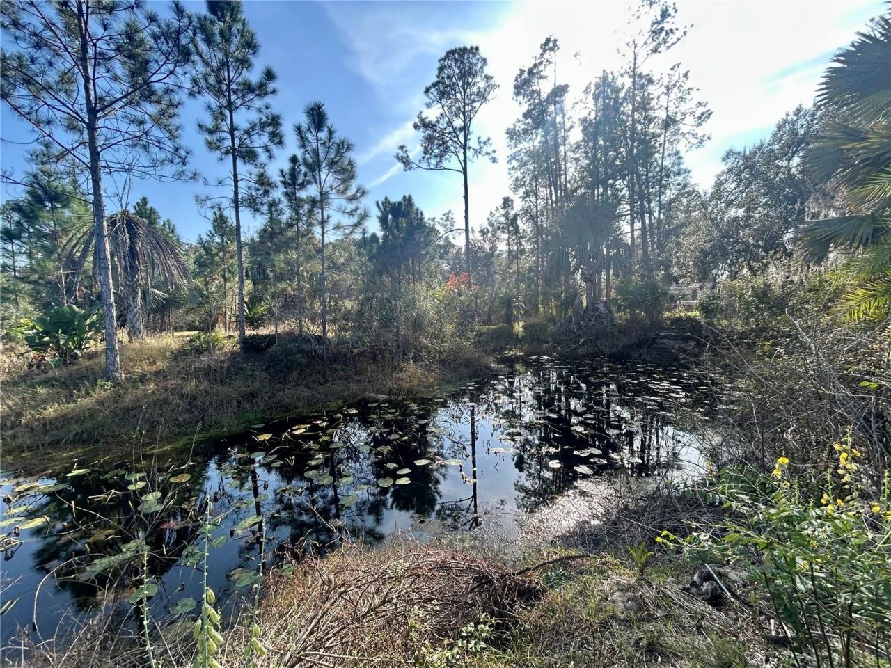 12714 State Road 33, Groveland, FL 34736 Photo