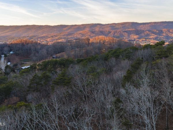 1655 Lester Whitt Road, Rutledge, TN 37861