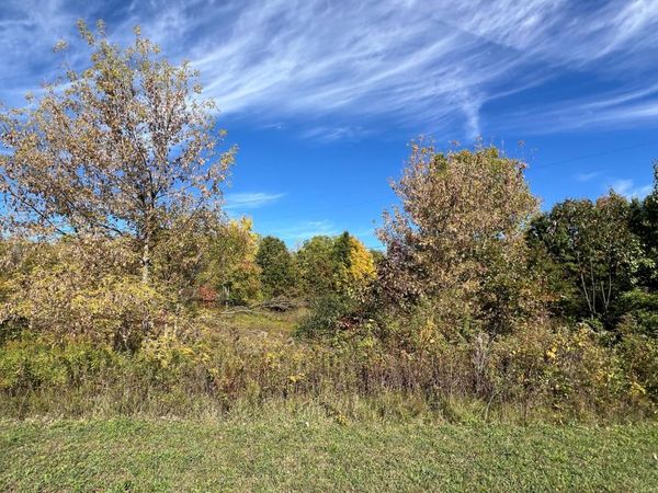 5577 Cannon Meadows Drive, Ada, MI 49301