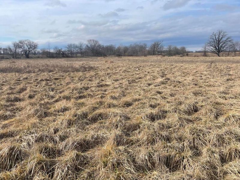 0 SR 31 , Mount Victory, OH 43340 Photo 2