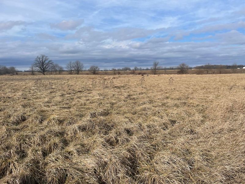 0 SR 31 , Mount Victory, OH 43340 Photo 3