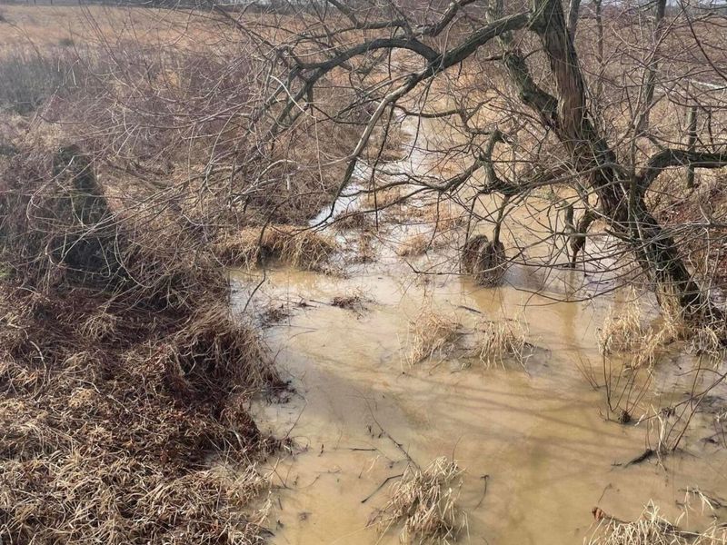 0 SR 31 , Mount Victory, OH 43340 Photo 4