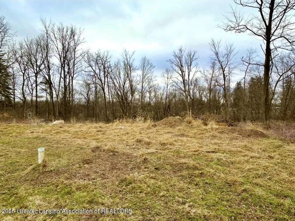 0 Spaulding Court, Bellevue, MI 49021