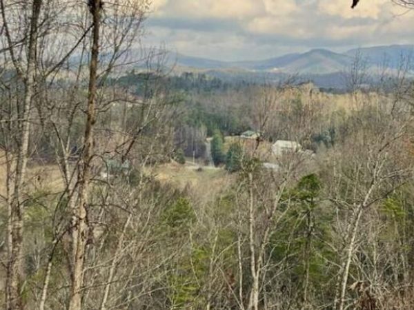 Dollys Drive, Sevierville, TN 37868