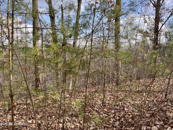 Dollys Drive, Sevierville, TN 37868