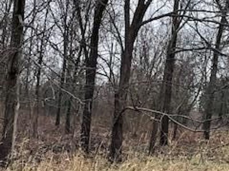 0 Hartford Road, Sunbury, OH 43074 Photo 2