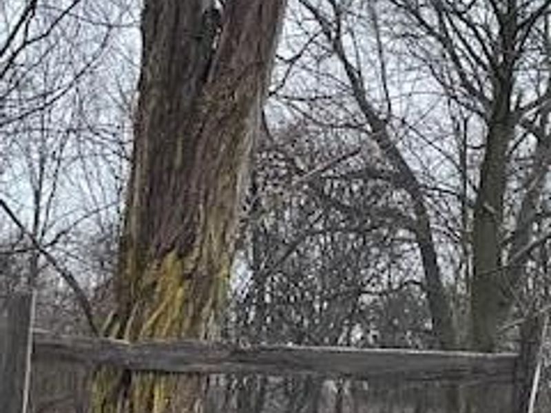 0 Hartford Road, Sunbury, OH 43074 Photo 3