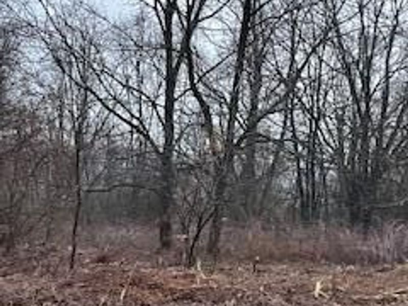 0 Hartford Road, Sunbury, OH 43074 Photo 4