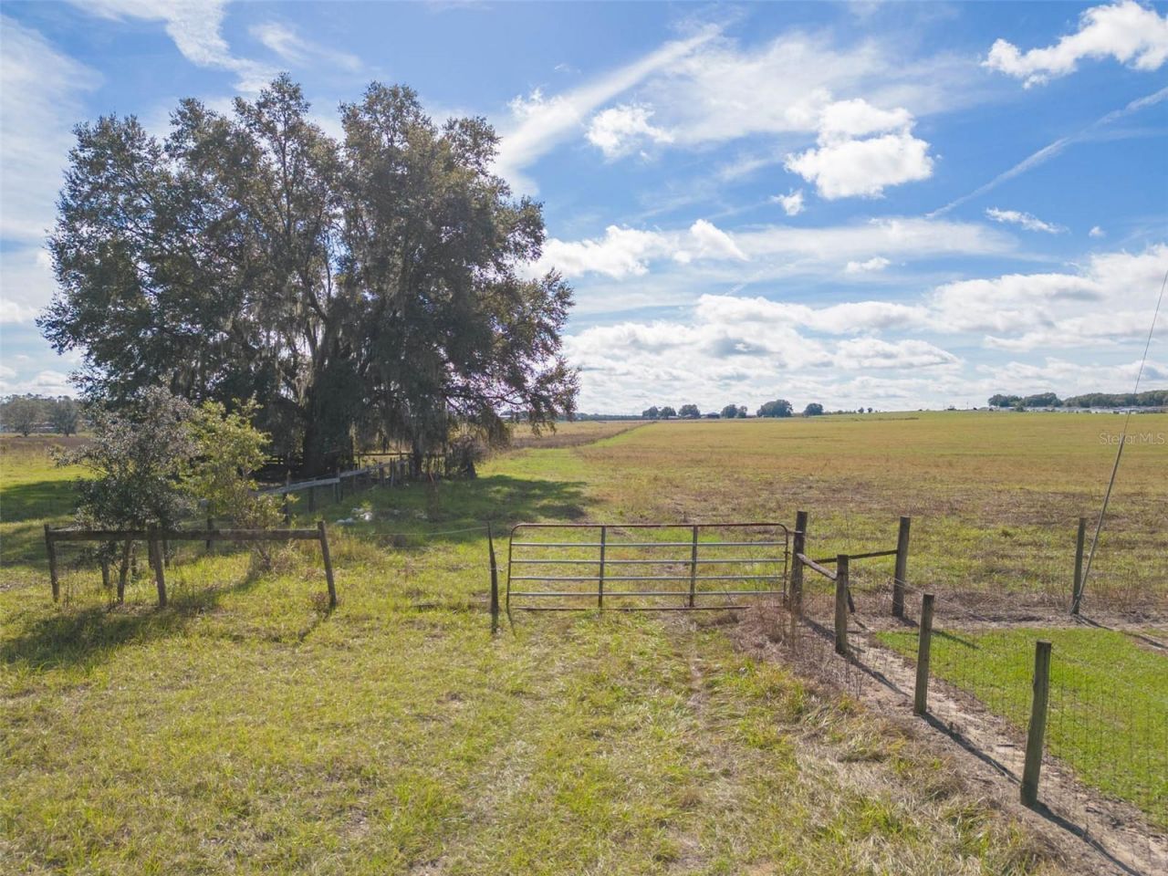 Bur Mac Road, Dade City, FL 33525 Photo