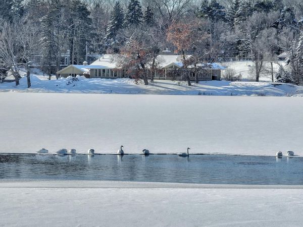 4 W Shore Road , North Oaks, MN 55127