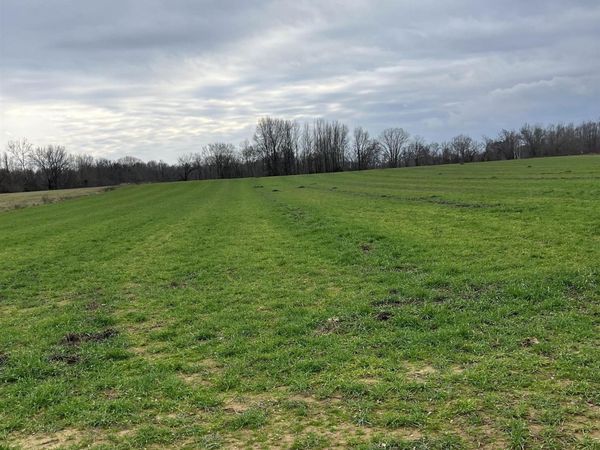 01 SCHOLES LN, Stanton, TN 38069