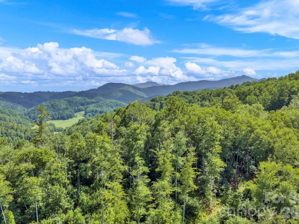 3606 NC Highway 194 None S, Sugar Grove, NC 28679