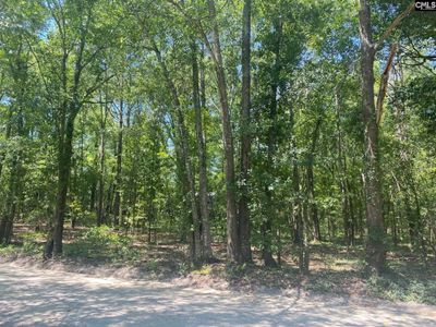 0 Mathias Road , West Columbia, SC 29169