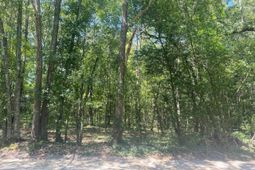 0 Mathias Road  photo 4