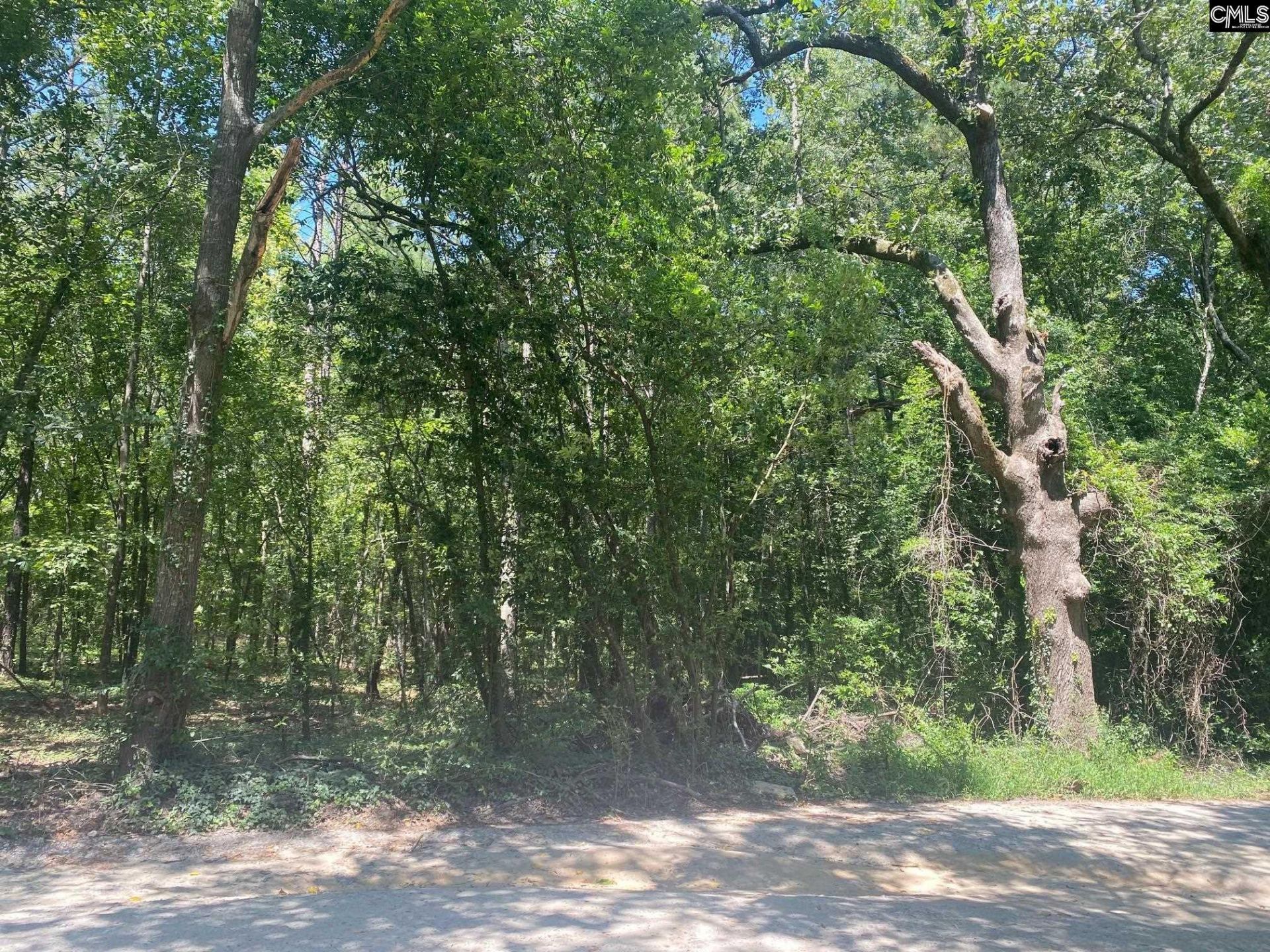 0 Mathias Road Photo 4