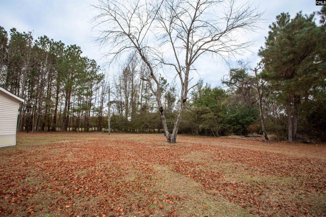 3130 Mt. Sinai Church Road  Photo 22