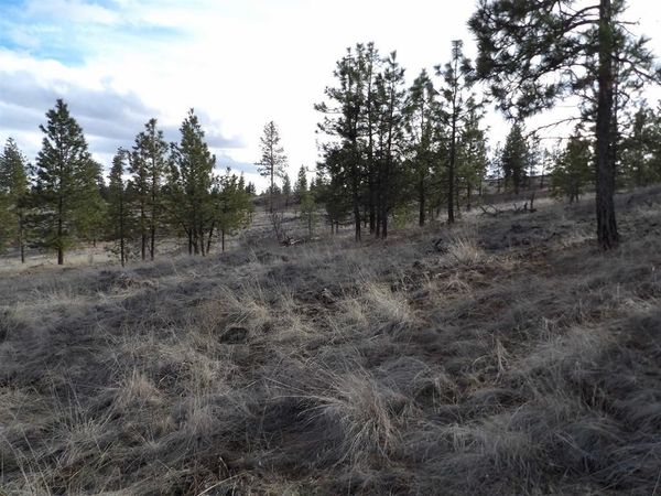 Tract E Meadow Lane Rd, Davenport, WA 99122